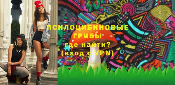 хмурый Алзамай