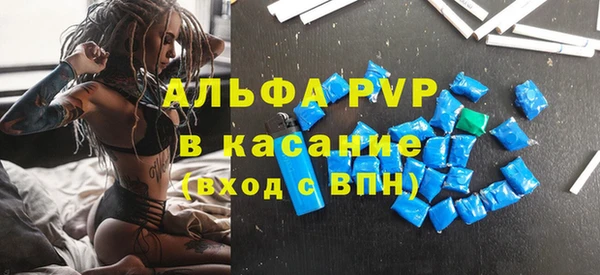 хмурый Алзамай