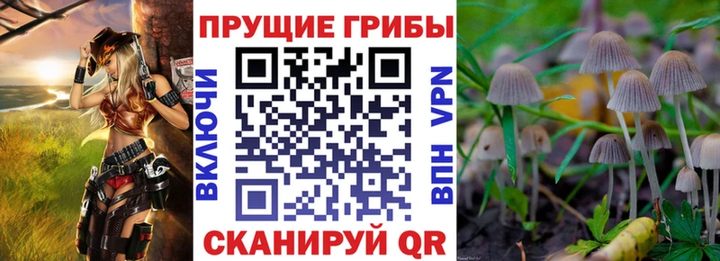 Галлюциногенные грибы Cubensis  Омск 